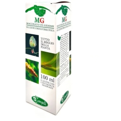 Blackcurrant - Natural Pain Relief Supplement 100 ml