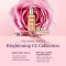 Bright CC Liquid Blush - N. 1 Rosy Flash