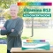 Massingen DailyVit+ 14 Vials - B12 Supplment
