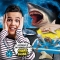 Crazy Science Sharks And Dinosaurs - Education Game Italian Version