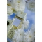Cashmeran Vanilla - Eau De Parfum Unisex 100 Ml Vapo