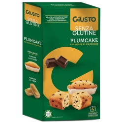 Senza Glutine - 4 plumcake with chocolate chips