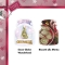 Box Scented candles - Snow Globe Wonderland + Peppermint Pinwheels