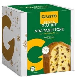 Senza Glutine - Mini Panettone Raisins and Candied fruit 100 g