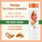 Natural Recharge - Fragile Hair Shampoo 250 Ml