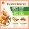 Natural Recharge - Fragile Hair Shampoo 250 Ml