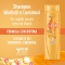 Morbidi E Luminosi - Dry Hair Shampoo 250 Ml