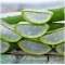 Shower gel Aloe Vera 500 ml