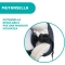 Skin Fit - Ergonomic Baby Carrier - Blue Passion