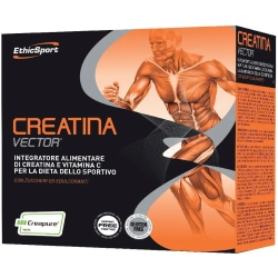 Creatine vector - Sport supplement 20 sachets
