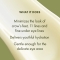 Plantscription - Wrinkle Correction Eye Cream 15 ml