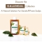 2 in 1 powder Shampoo Mask with organic nettle and clay 8 sachets