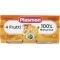 Homogenized 4 Fruits 2x80g