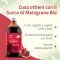 Salugea Succo di Maqui Bio - Antioxidant Supplement 500 ml