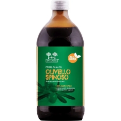 Salugea Succo di Olivello Spinoso Bio - Digestive Health Supplement 500 ml