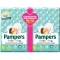 Baby Dry Extralarge Size 6 (15-30 Kg) - Pack of 34 diapers