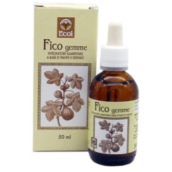 Fig Buds Alcohol-Free Extract - Digestive Health Supplement 50 Ml