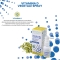 Vitamina D Vegetale Spray - Vitamin D Supplement 20 ml