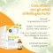 Salugea Reflugea Forte - Fibre Supplement 18 Vials