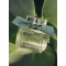 Signature Naturelle Intense - Eau de Parfum for Women 50 ml Vapo