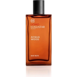 Acqua Wood - Eau de Toilette for Men 100 ml Spray