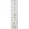 Sexy Amber - Eau de Parfum for Woman 100 ml spray