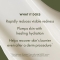 Mega-Mushroom - Restorative Skin Concentrate 30 ml