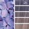 Color Fresh Create - Hair dye Neverseen Green 60 ml