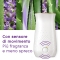 Tranquil Lavender & Aloe - 2 room fragrance refill