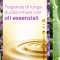 Tranquil Lavender & Aloe - 2 room fragrance refill