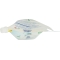 Delicate - Liquid soap with micellar water Refill 1 L