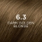 Hair Color - Permanent Color N 6.3 Blonde Dark Golden