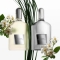 Grey Vetiver Parfum For Man 100 Ml Spray