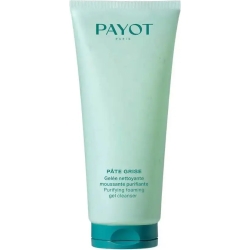 Pâte Grise Gelée Nettoyante - Purifying Foaming Gel Cleanser 200 Ml