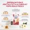 Pappa Reale Fresca - Energy Supplement 10 Vials