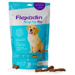 Flexadin Young Dog Maxi - Complementary feeds for dogs 60 Tablets