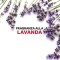 Lavender - 2 anti -tarm cages