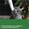 GimCat - Gastro Intestinal Paste 50 g