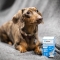 Zylkene Plus <10Kg - Complementary Feed For Dogs And Cats 30 Capsules
