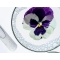 Cleansing Powder To Cream 40 G