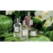 Via Verri - Eau de toilette Unisex 100 ml Spray