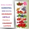 Smocare Antioxidant - Antioxidant Supplement 30 Tablets