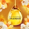 Gold And Vanilla Flowers - Concentrated Softener 86 Washes