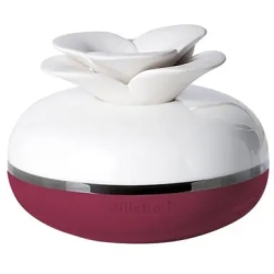 Air Design Flower - Red Room Diffuser