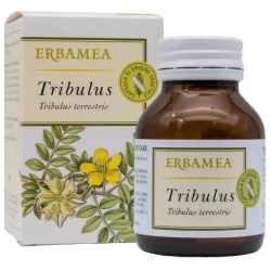 Tribuulus - Fertility supplement 50 veg capsules