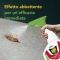 Essential - Spray Against Cockroaches and Ants 500 Ml