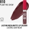 Lasting Mega Matte - Liquid Lipstick N.810 Plum This Show