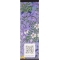 Flora Gorgeous Magnolia - Eau de Parfum for Woman 30 ml Spray