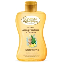 Micellar Water And Ginger Shower Gel 300 Ml
