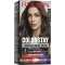 Colorstay Longwear Cream Color - Hair Dye n.5.3 Medium golden brown